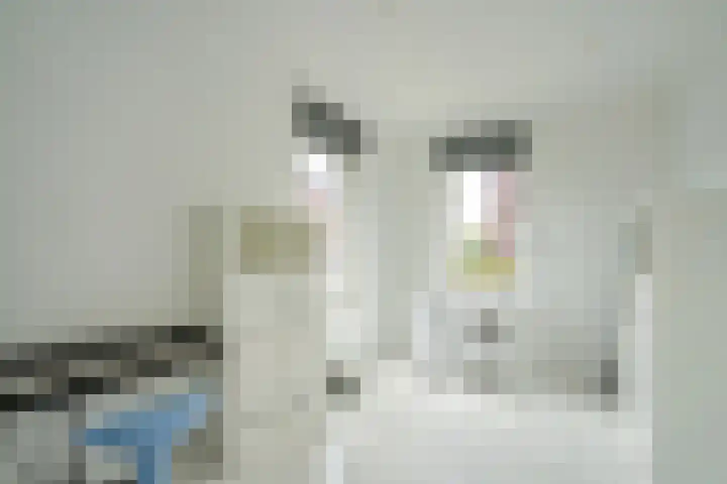 Gaasterlandlaan 90 Den Haag thumbnail 22
