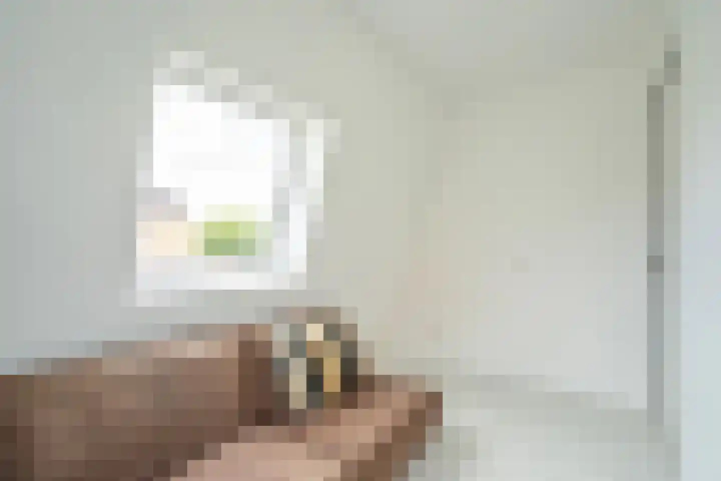 Gaasterlandlaan 90 Den Haag thumbnail 32