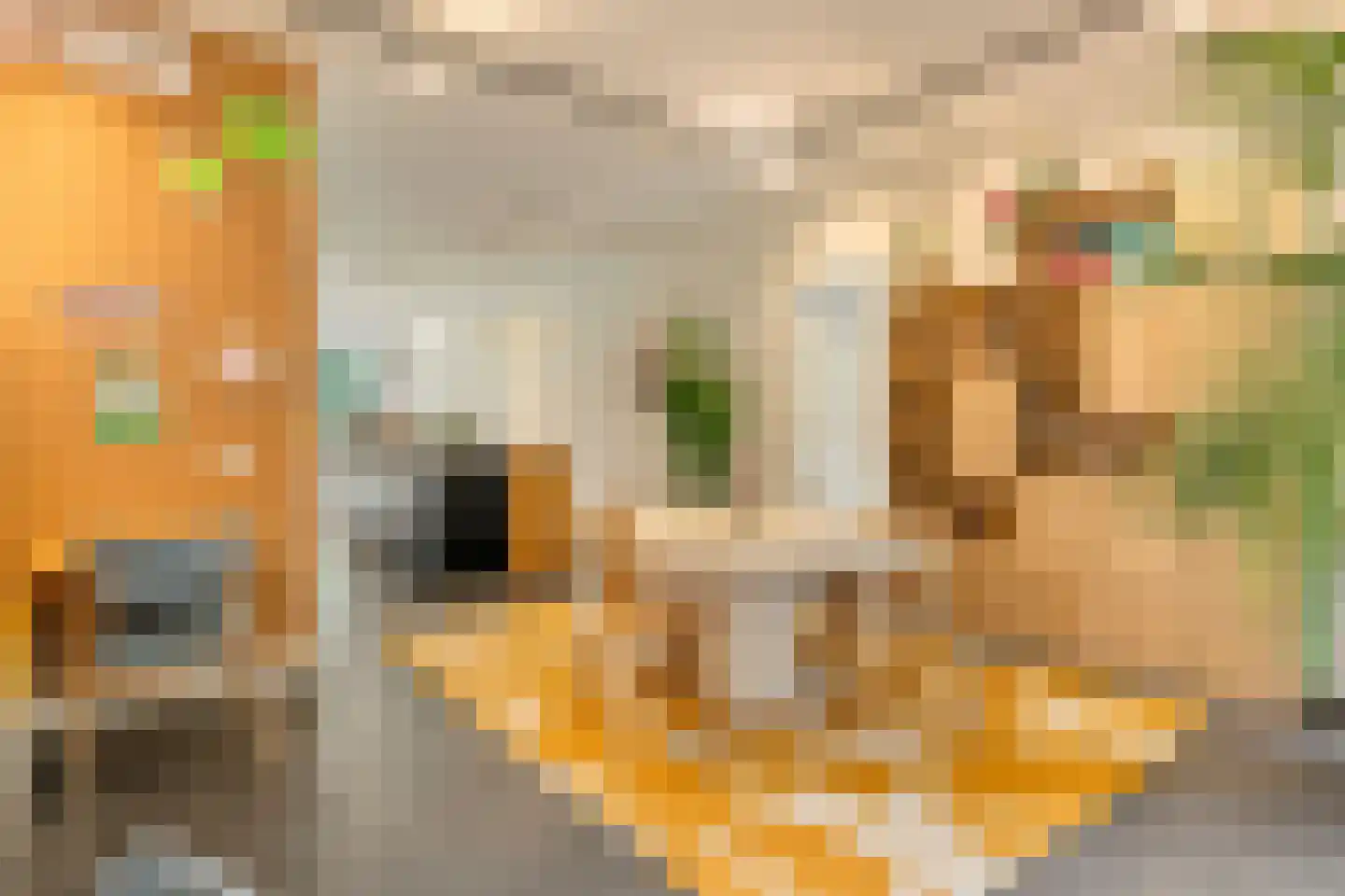 Gaasterlandstraat 10 Amsterdam thumbnail 10