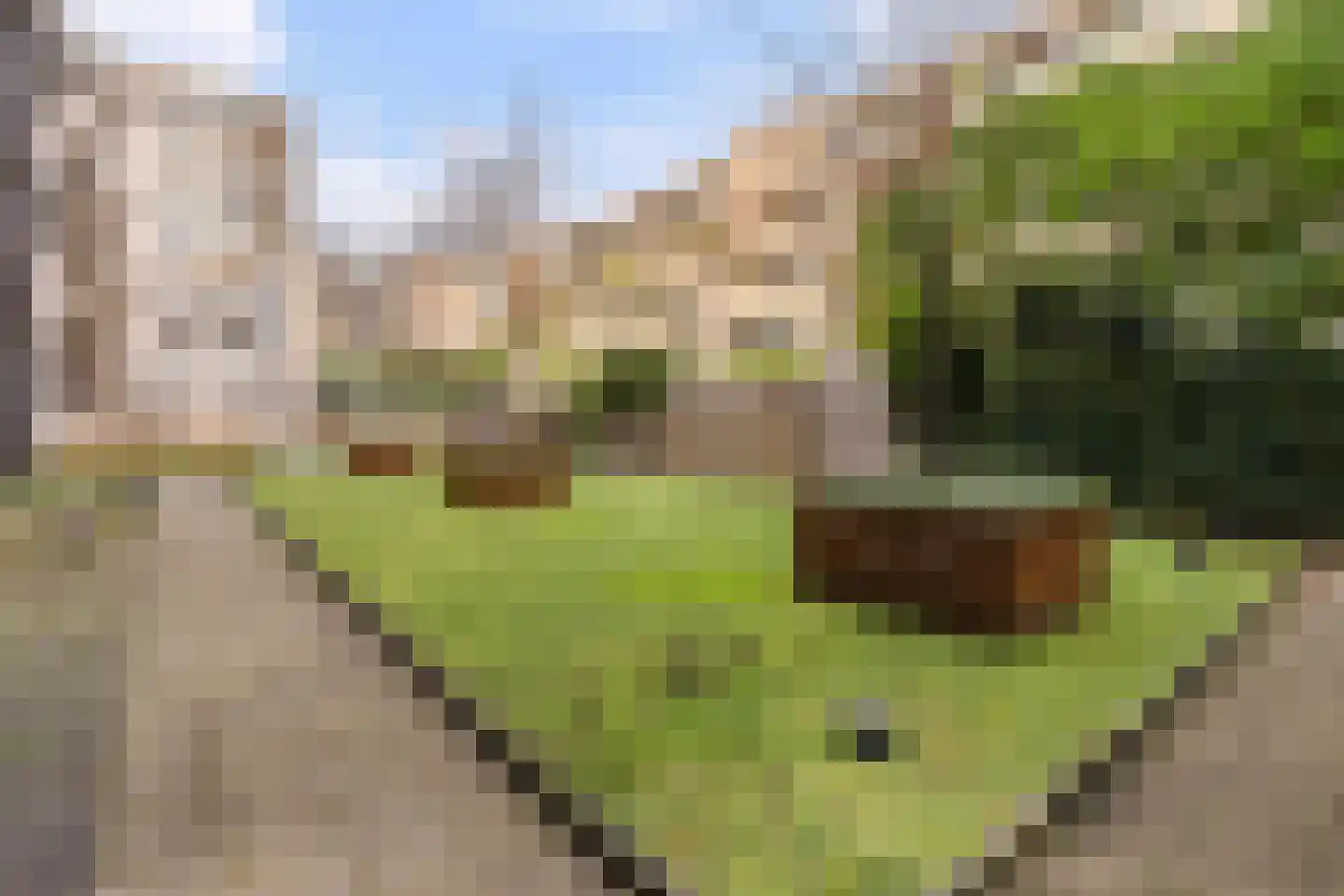 Gaasterlandstraat 10 Amsterdam thumbnail 15
