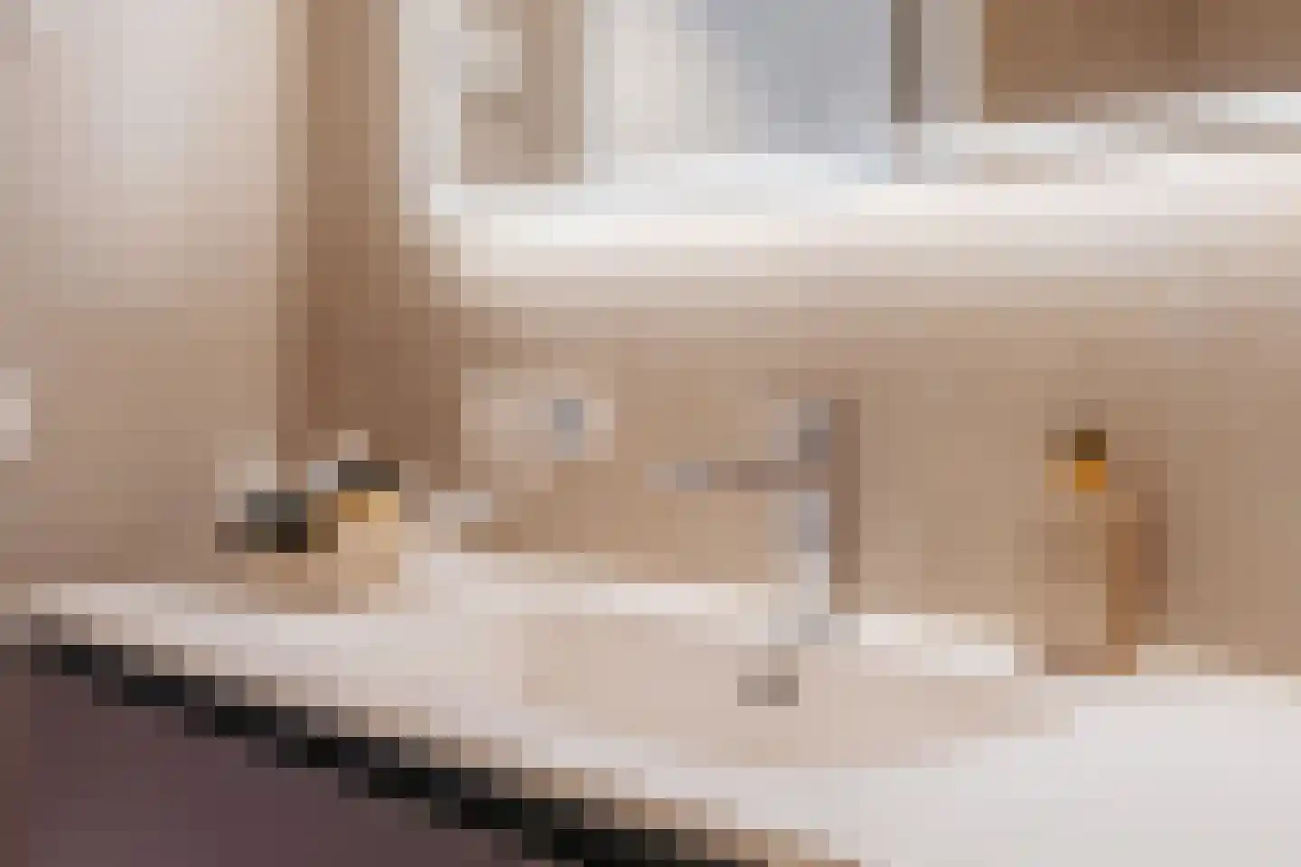 Gaasterlandstraat 228 Amsterdam thumbnail 34