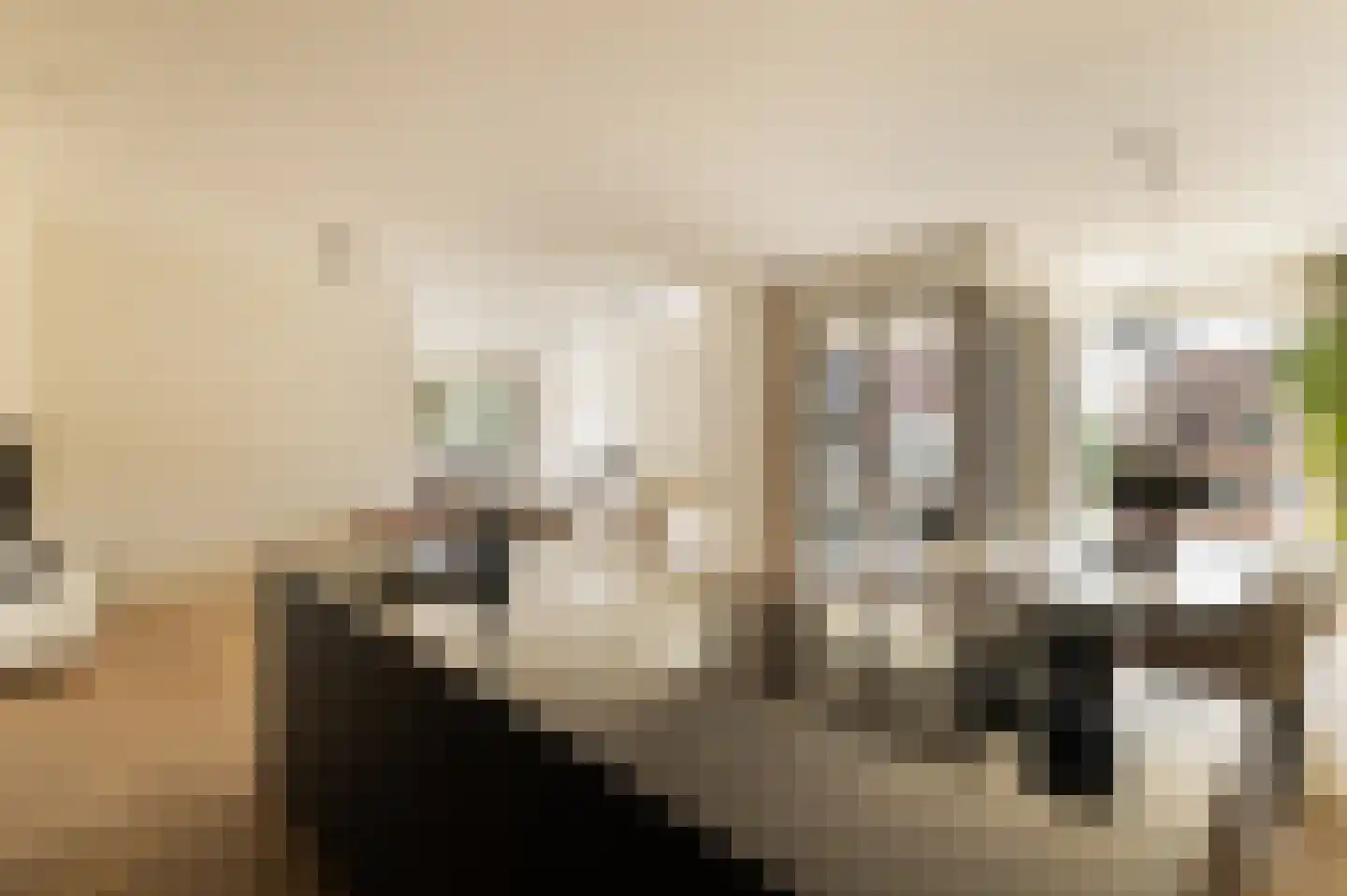Gaasterlandstraat 244 Amsterdam thumbnail 23