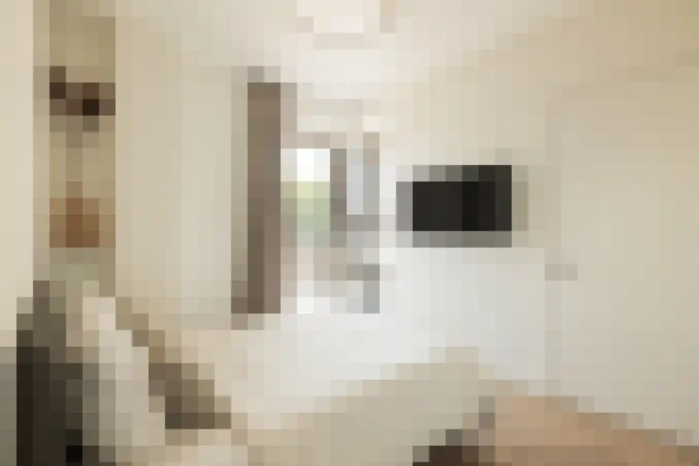 Gaasterlandstraat 244 Amsterdam thumbnail 32