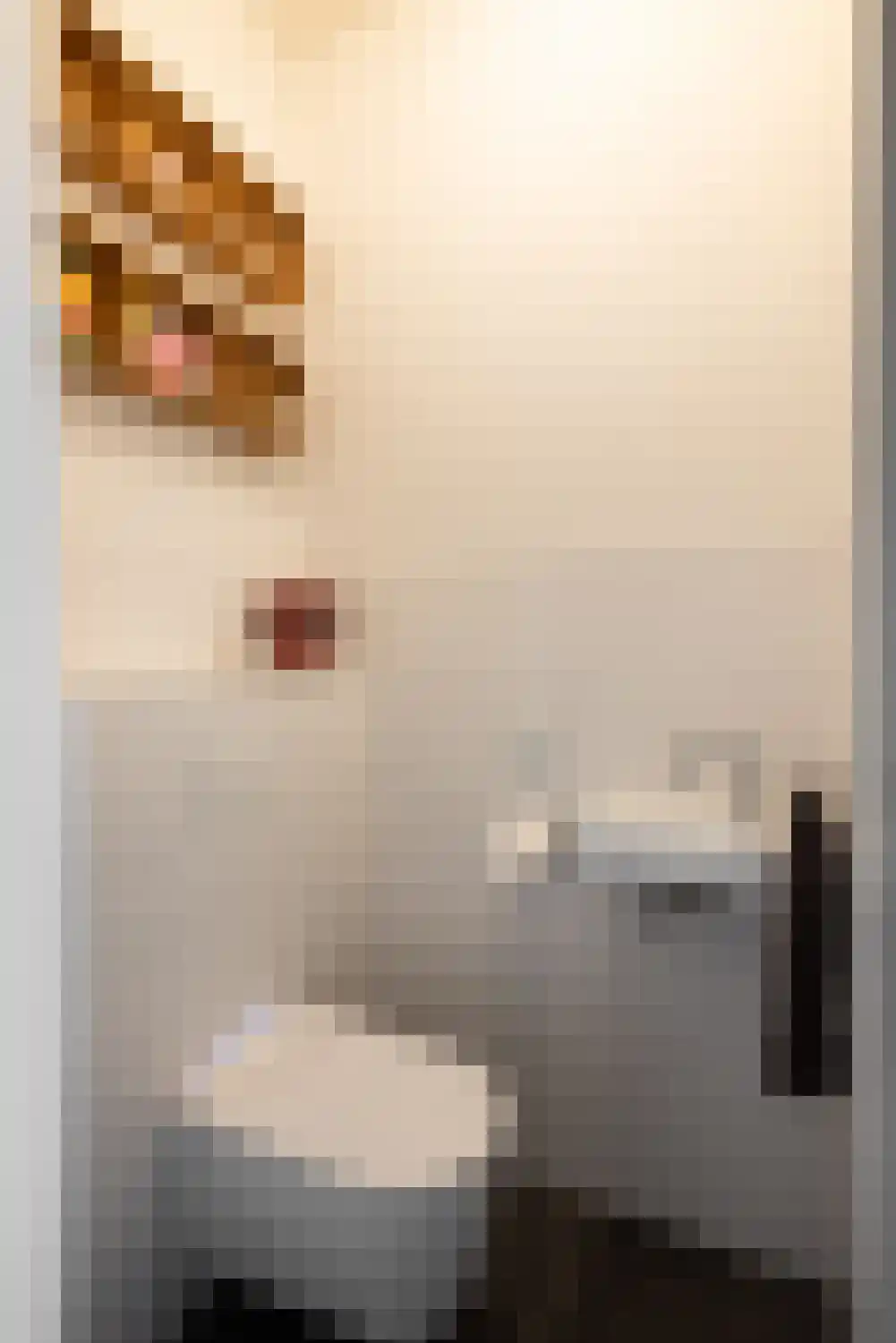 Gaasterlandstraat 244 Amsterdam thumbnail 34