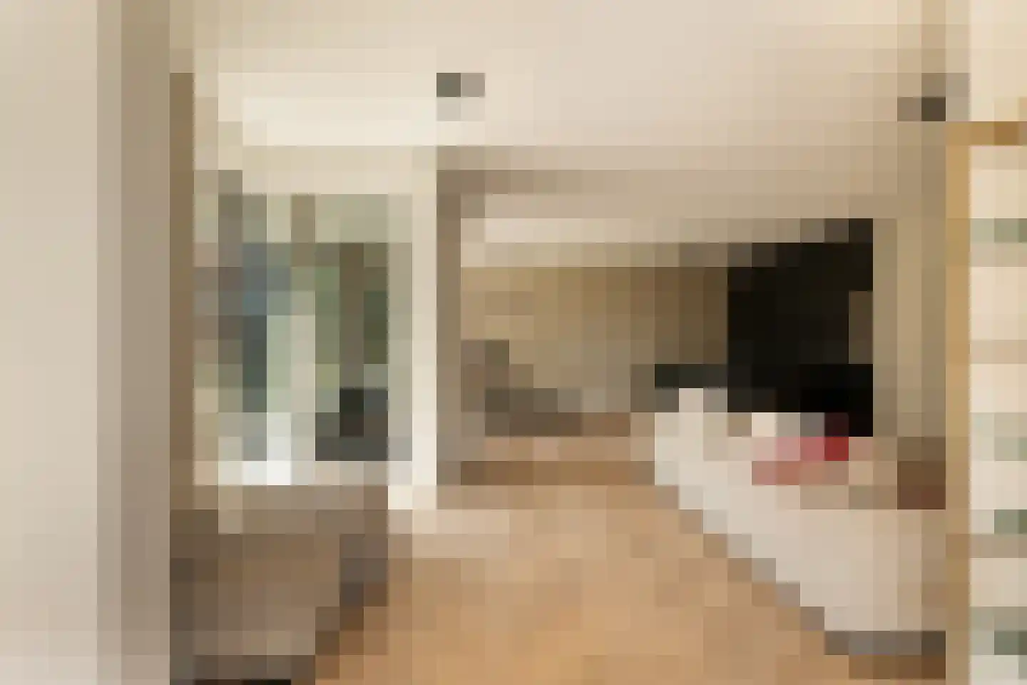 Gaasterlandstraat 244 Amsterdam thumbnail 6