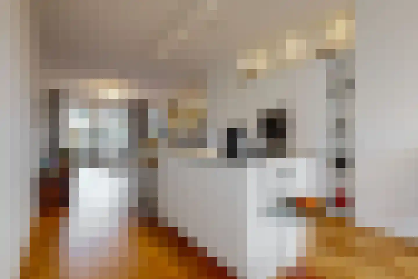 Gaasterlandstraat 34 Amsterdam thumbnail 7