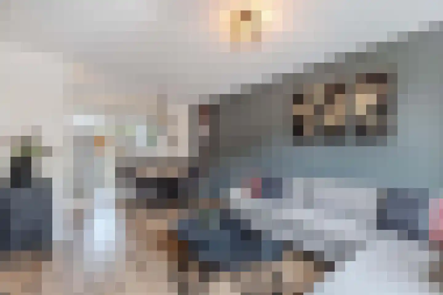 Gaastlaan 11 Emmeloord thumbnail 17