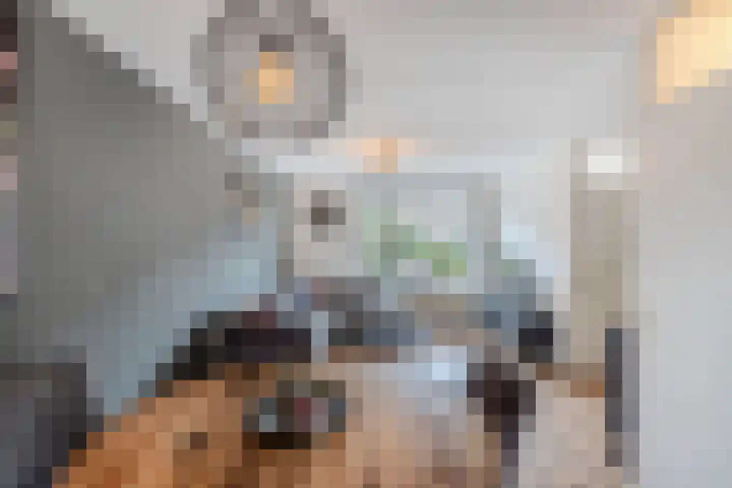 Gaastlaan 11 Emmeloord thumbnail 20