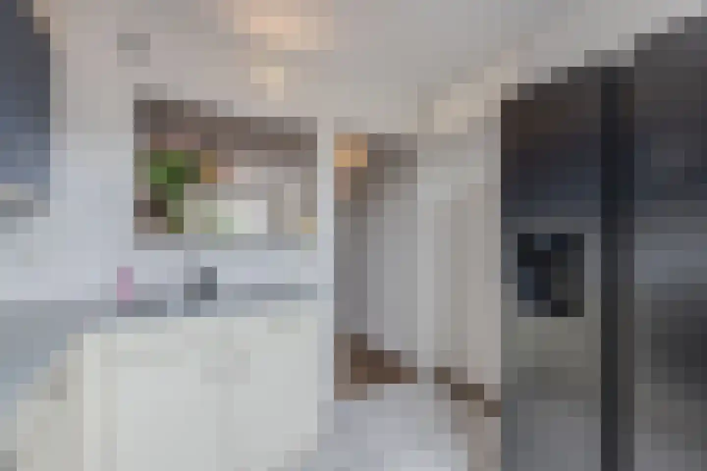Gaastlaan 11 Emmeloord thumbnail 22