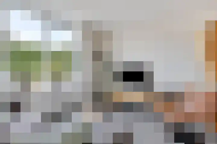 Gaastlaan 22 Emmeloord thumbnail 10