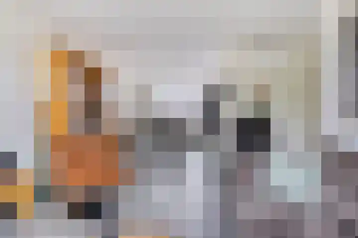 Gaastlaan 22 Emmeloord thumbnail 13