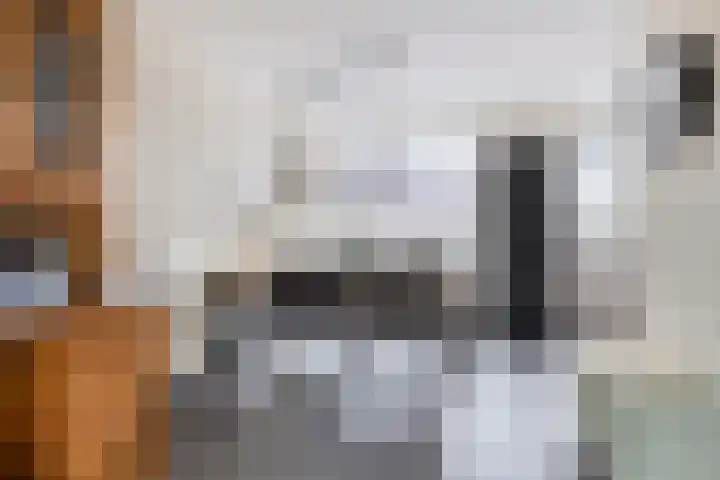 Gaastlaan 22 Emmeloord thumbnail 14