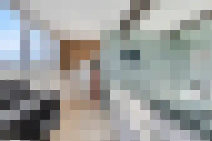 Gaastlaan 22 Emmeloord thumbnail 29