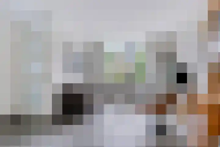 Gaastlaan 22 Emmeloord thumbnail 8