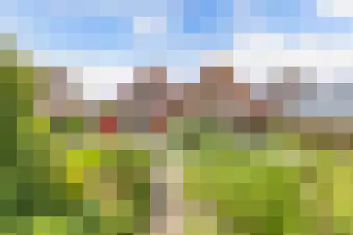 Gaastlaan 38 Emmeloord thumbnail 33