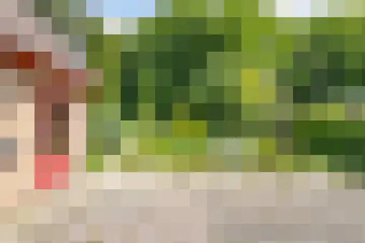 Gaastlaan 38 Emmeloord thumbnail 36