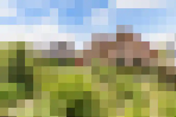 Gaastlaan 38 Emmeloord thumbnail 37