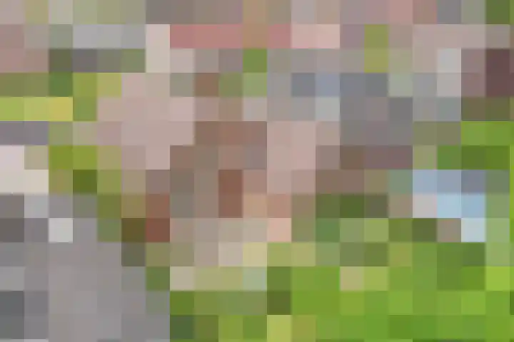 Gaastlaan 38 Emmeloord thumbnail 38