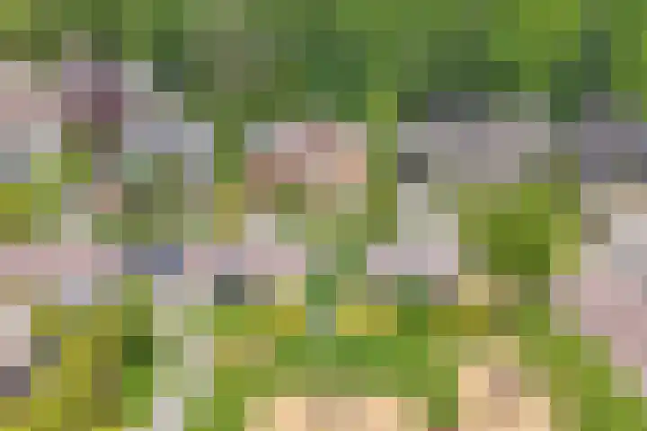 Gaastlaan 38 Emmeloord thumbnail 39