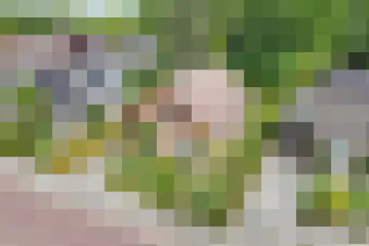Gaastlaan 38 Emmeloord thumbnail 40