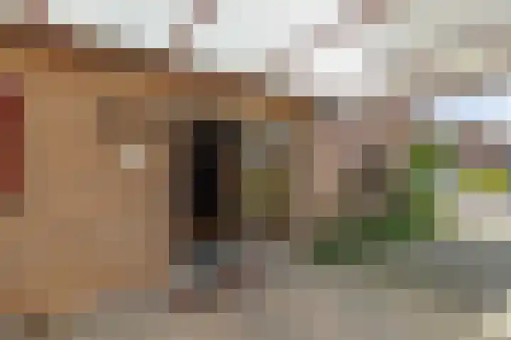 Gaastlaan 38 Emmeloord thumbnail 42