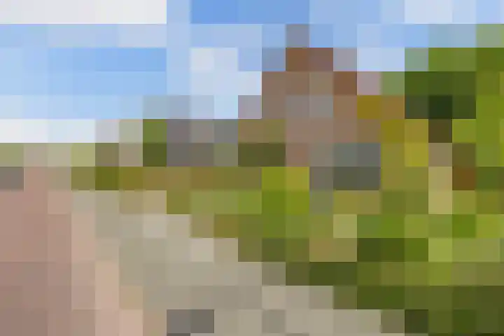 Gaastlaan 38 Emmeloord thumbnail 43