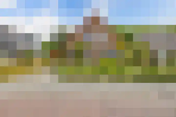 Gaastlaan 38 Emmeloord thumbnail 45