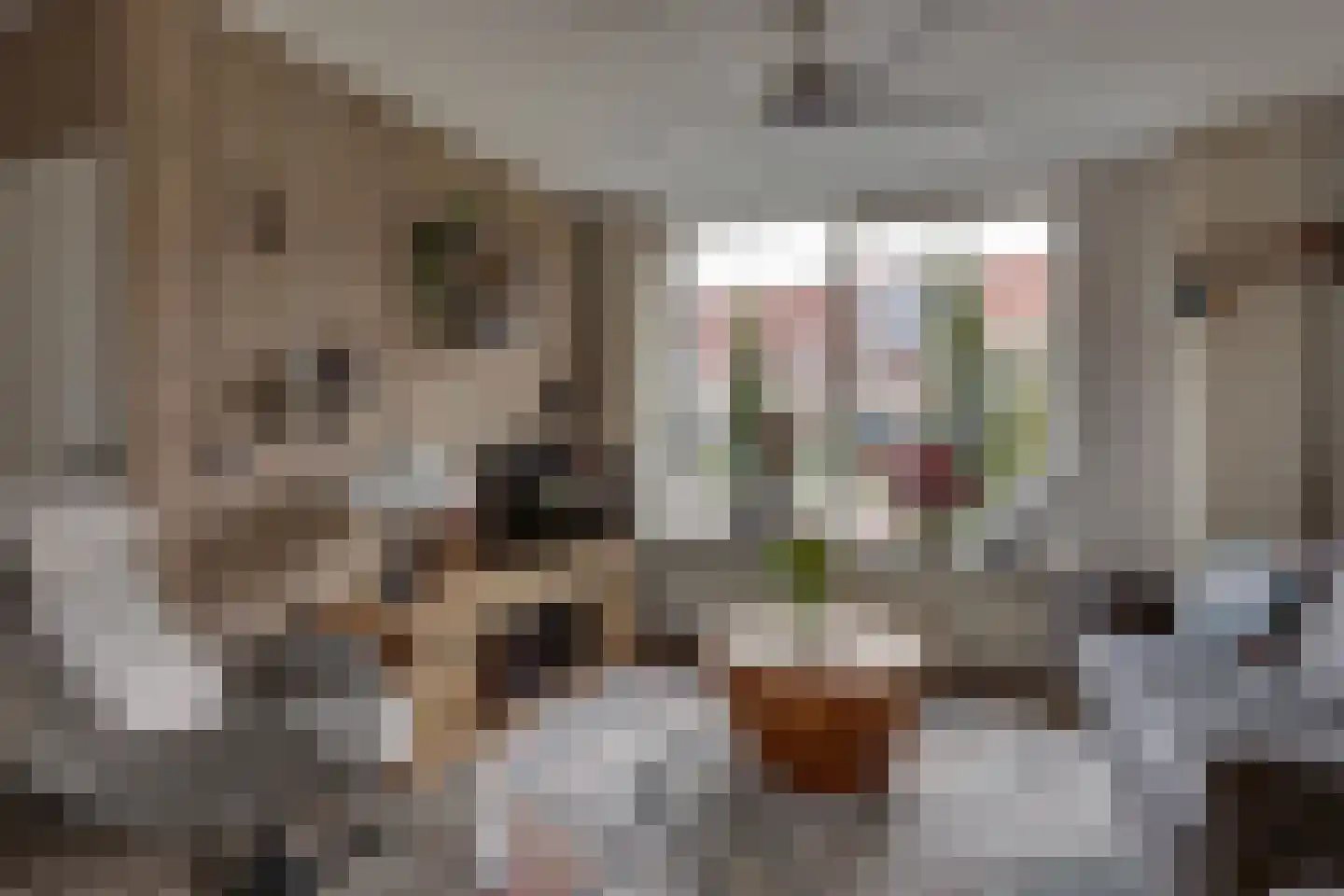 Gaastlaan 6 Emmeloord thumbnail 13