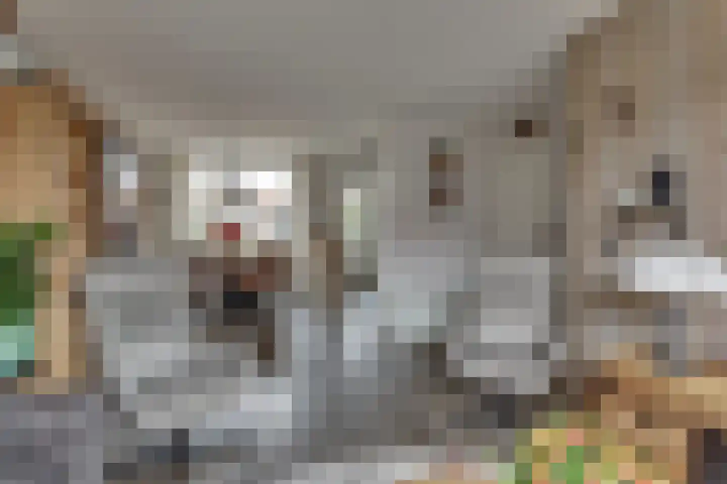 Gaastlaan 6 Emmeloord thumbnail 14