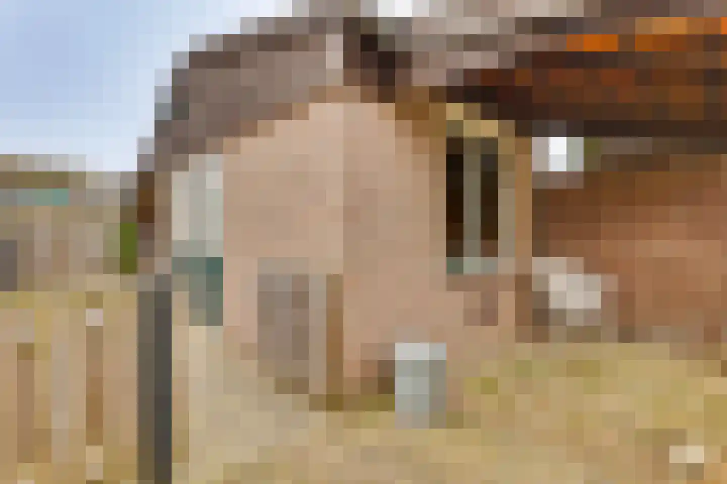 Gaastlaan 6 Emmeloord thumbnail 23
