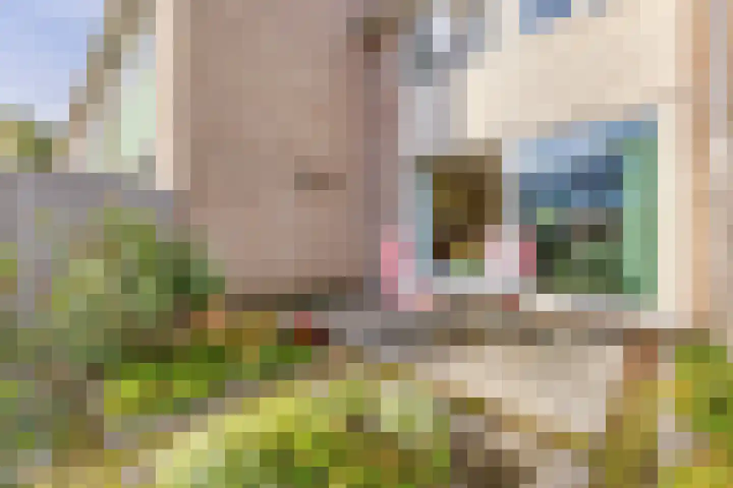 Gaastmeer 26 Zaandam thumbnail 13