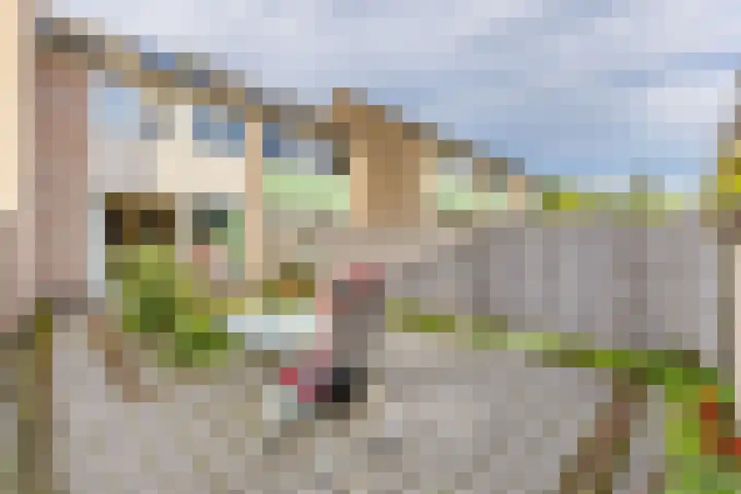 Gaastmeer 26 Zaandam thumbnail 16