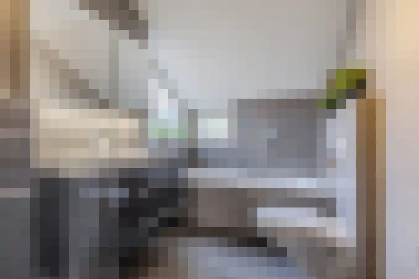 Gaastmeer 26 Zaandam thumbnail 24