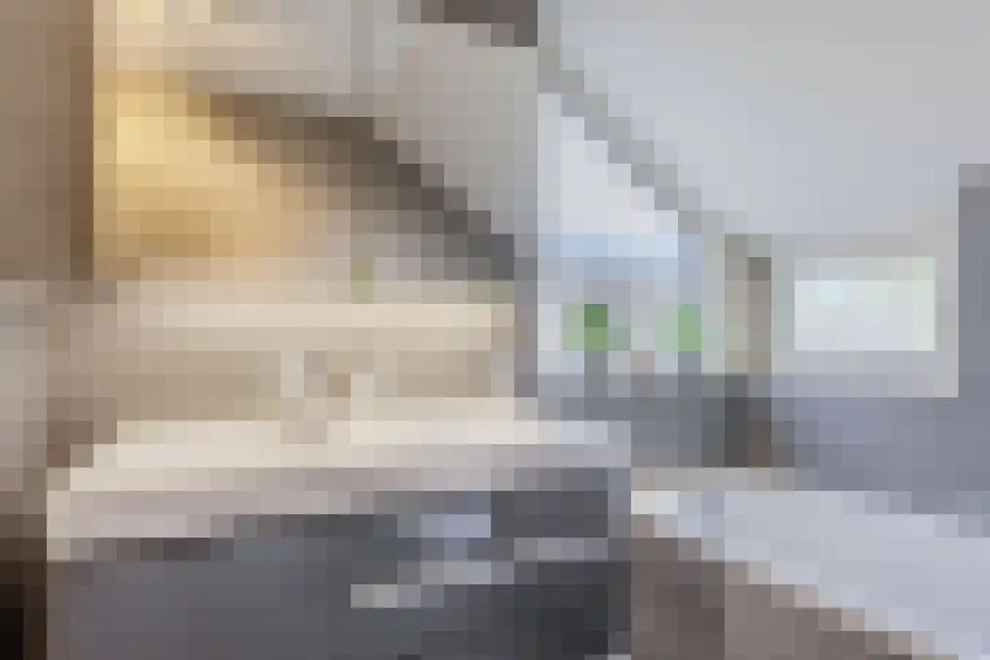 Gaastmeer 26 Zaandam thumbnail 25