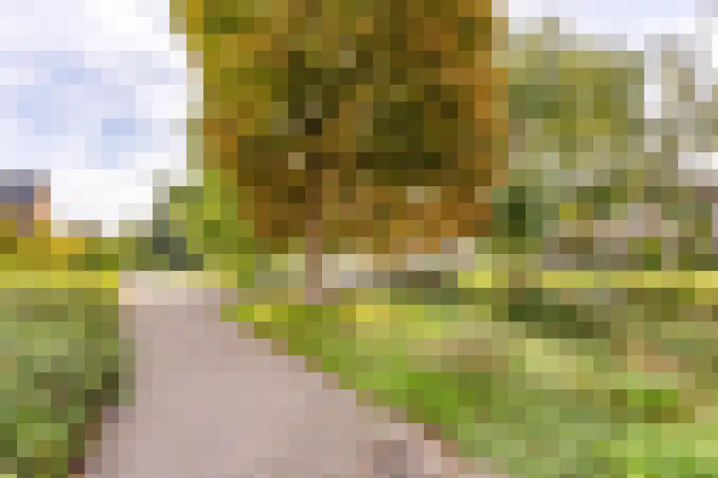 Gaastmeer 26 Zaandam thumbnail 31
