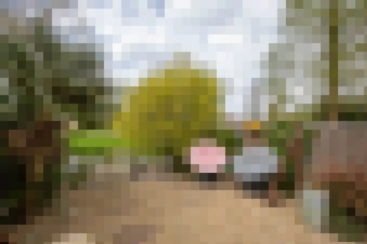 Gaastmeer 4 Uithoorn thumbnail 28