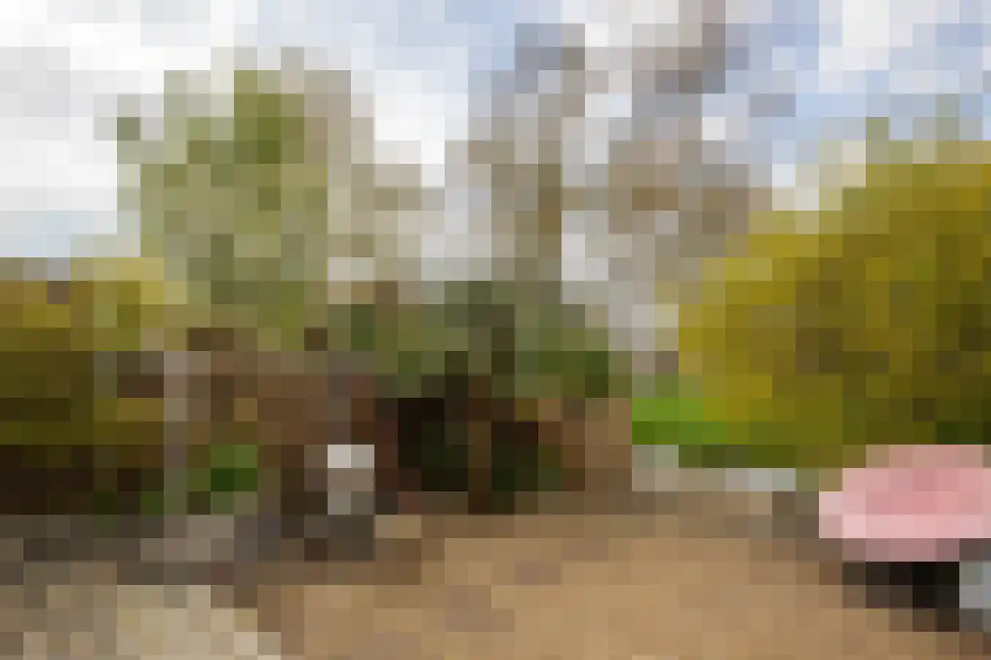 Gaastmeer 4 Uithoorn thumbnail 30