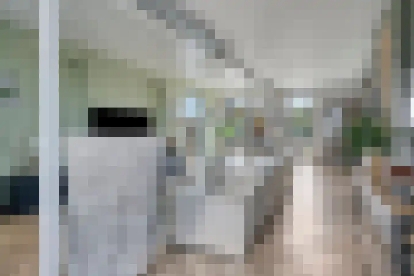 Gaaswijck 11 Poortvliet thumbnail 14