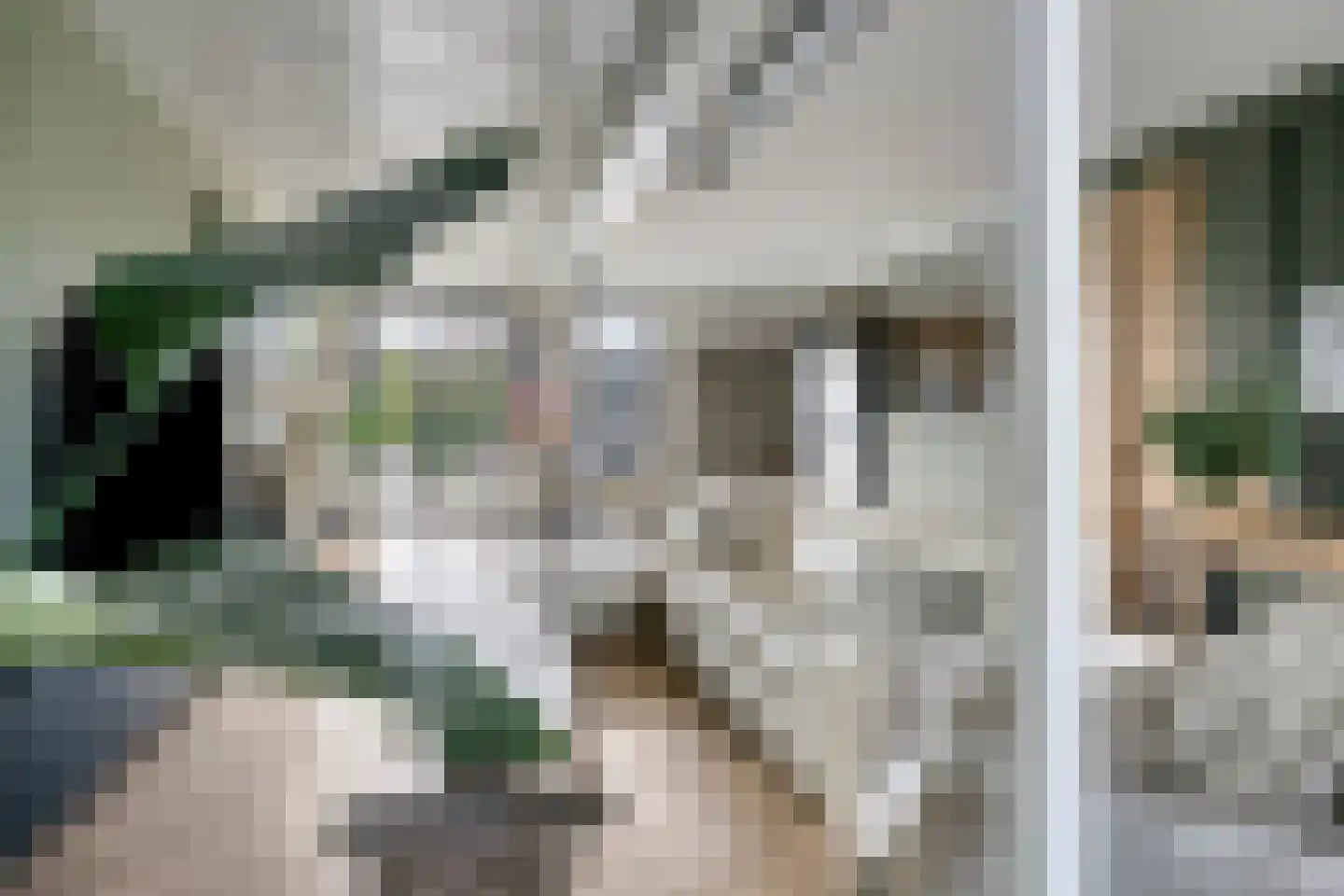 Gaaswijck 11 Poortvliet thumbnail 15
