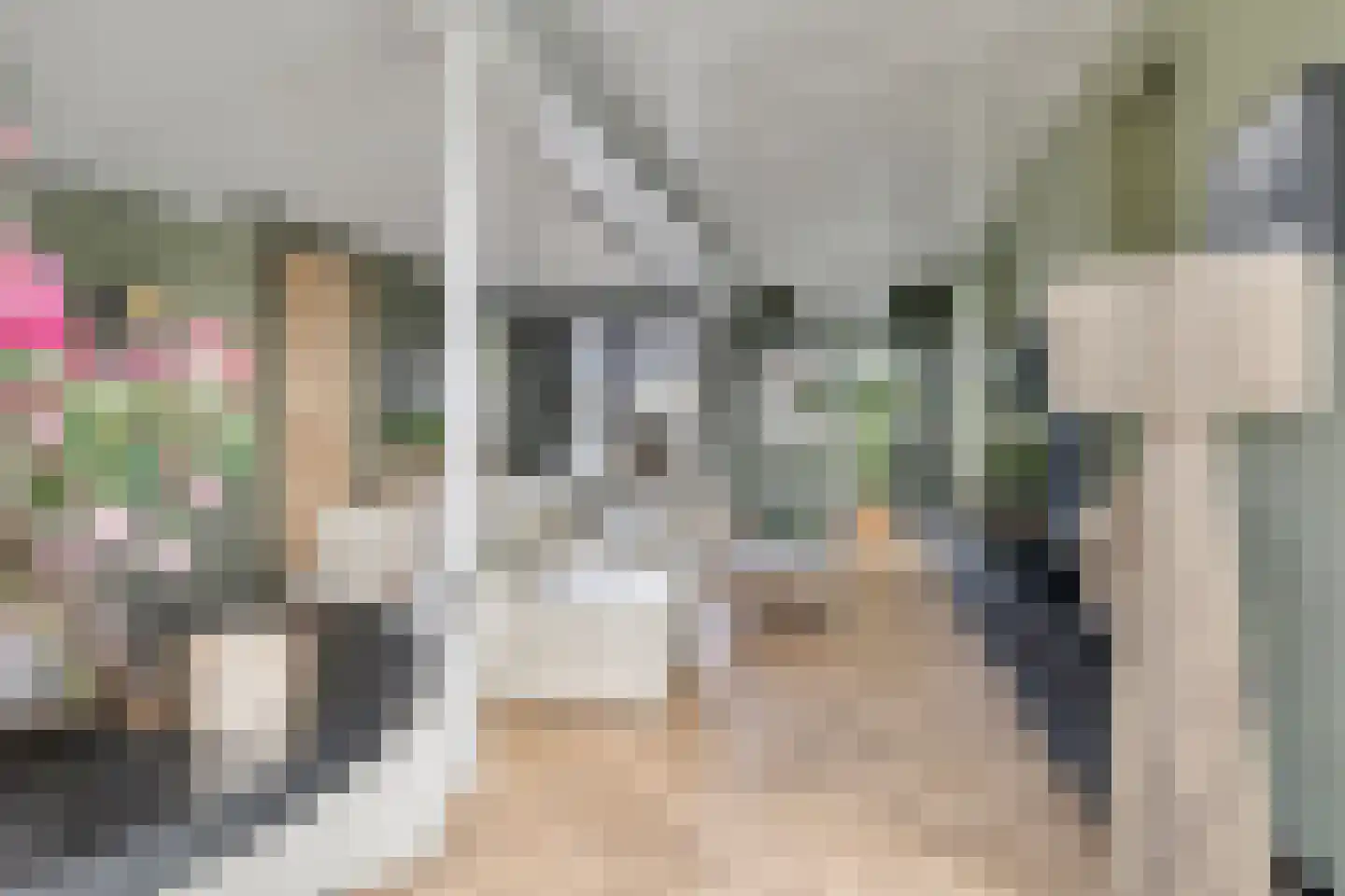 Gaaswijck 11 Poortvliet thumbnail 19