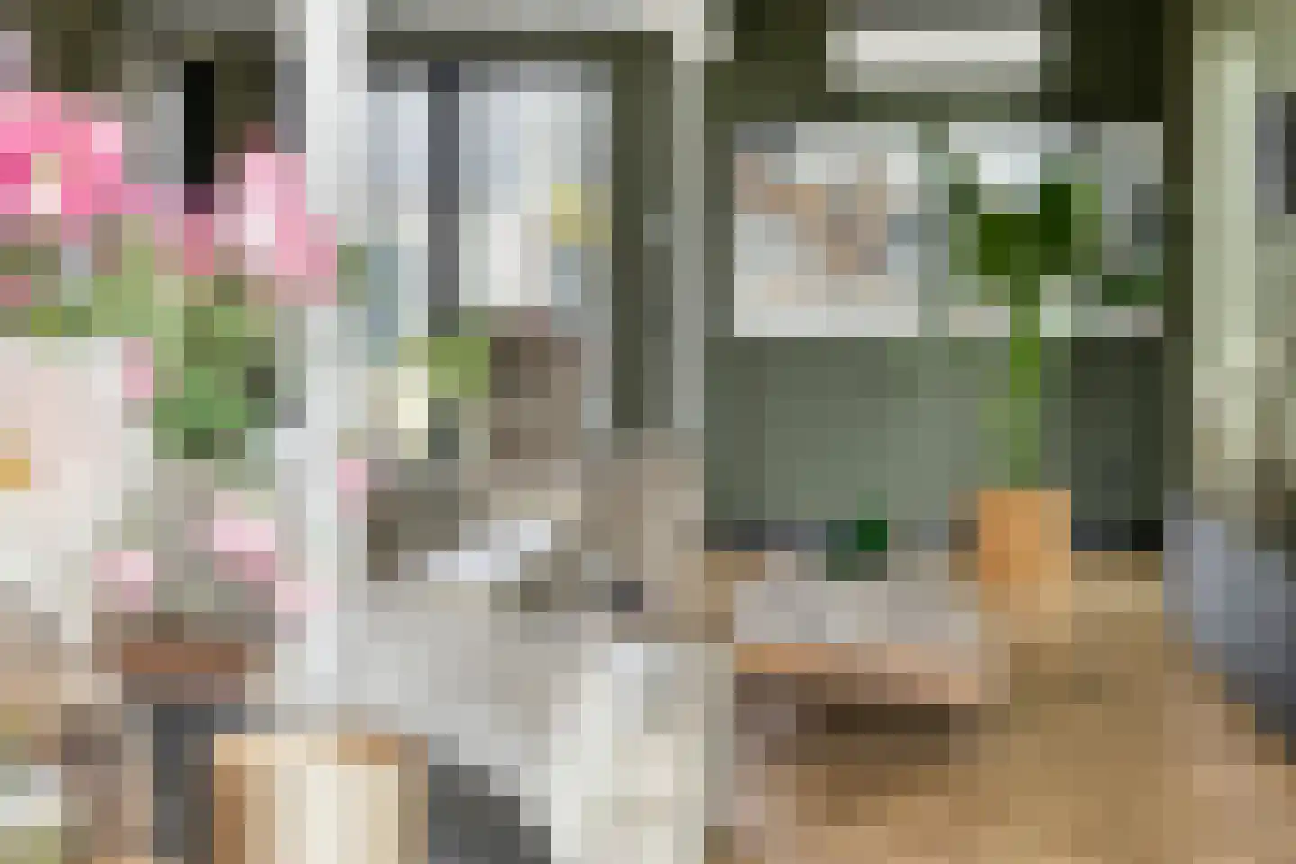 Gaaswijck 11 Poortvliet thumbnail 20