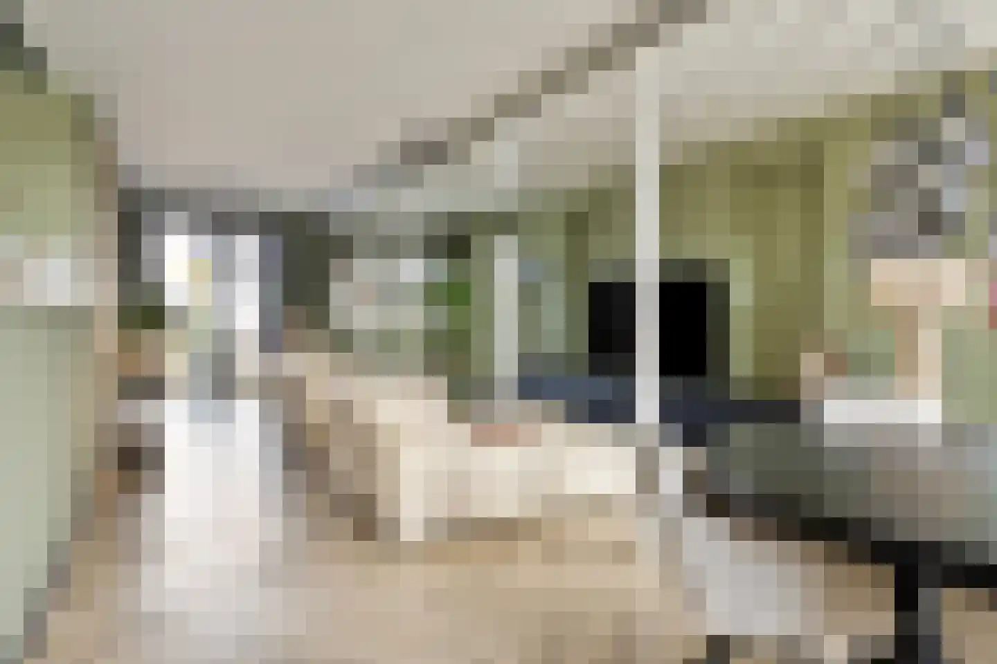 Gaaswijck 11 Poortvliet thumbnail 22