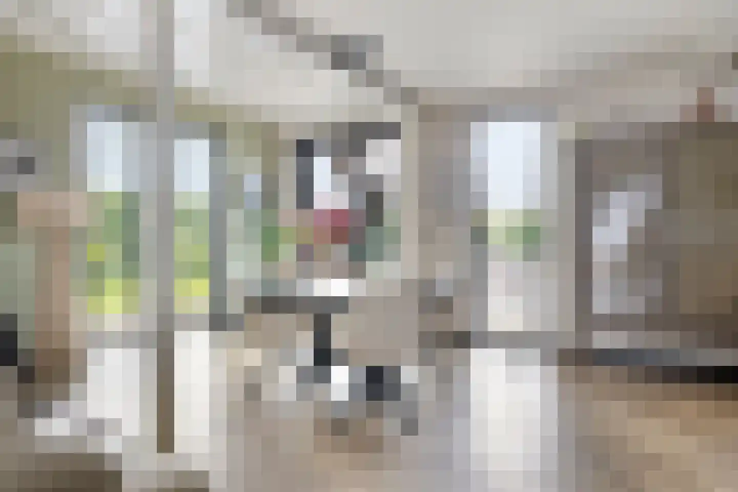 Gaaswijck 11 Poortvliet thumbnail 23