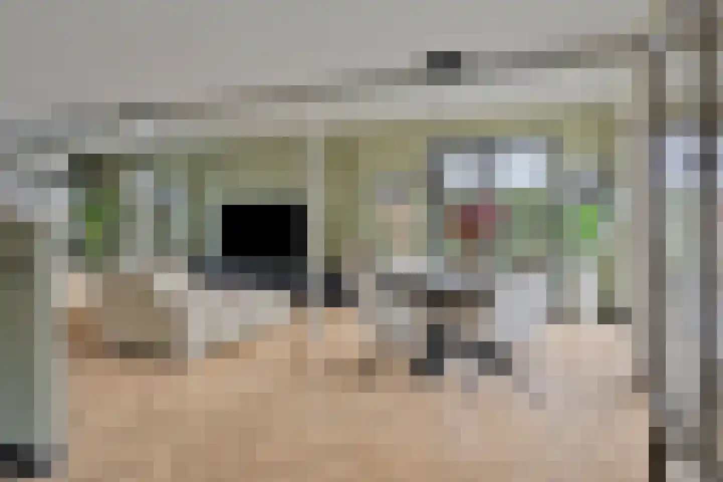 Gaaswijck 11 Poortvliet thumbnail 24