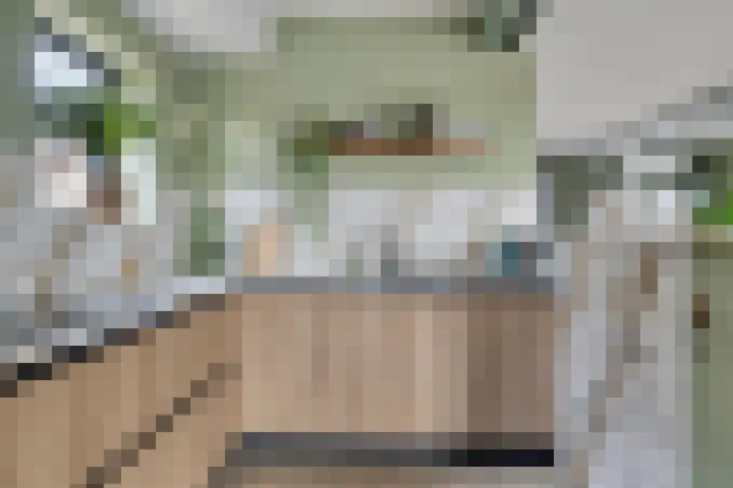 Gaaswijck 11 Poortvliet thumbnail 28