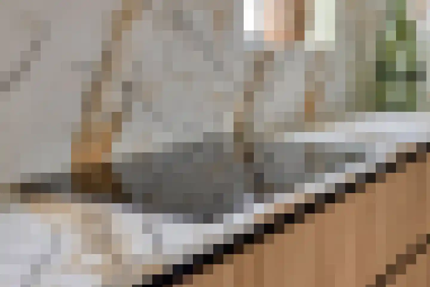 Gaaswijck 11 Poortvliet thumbnail 29