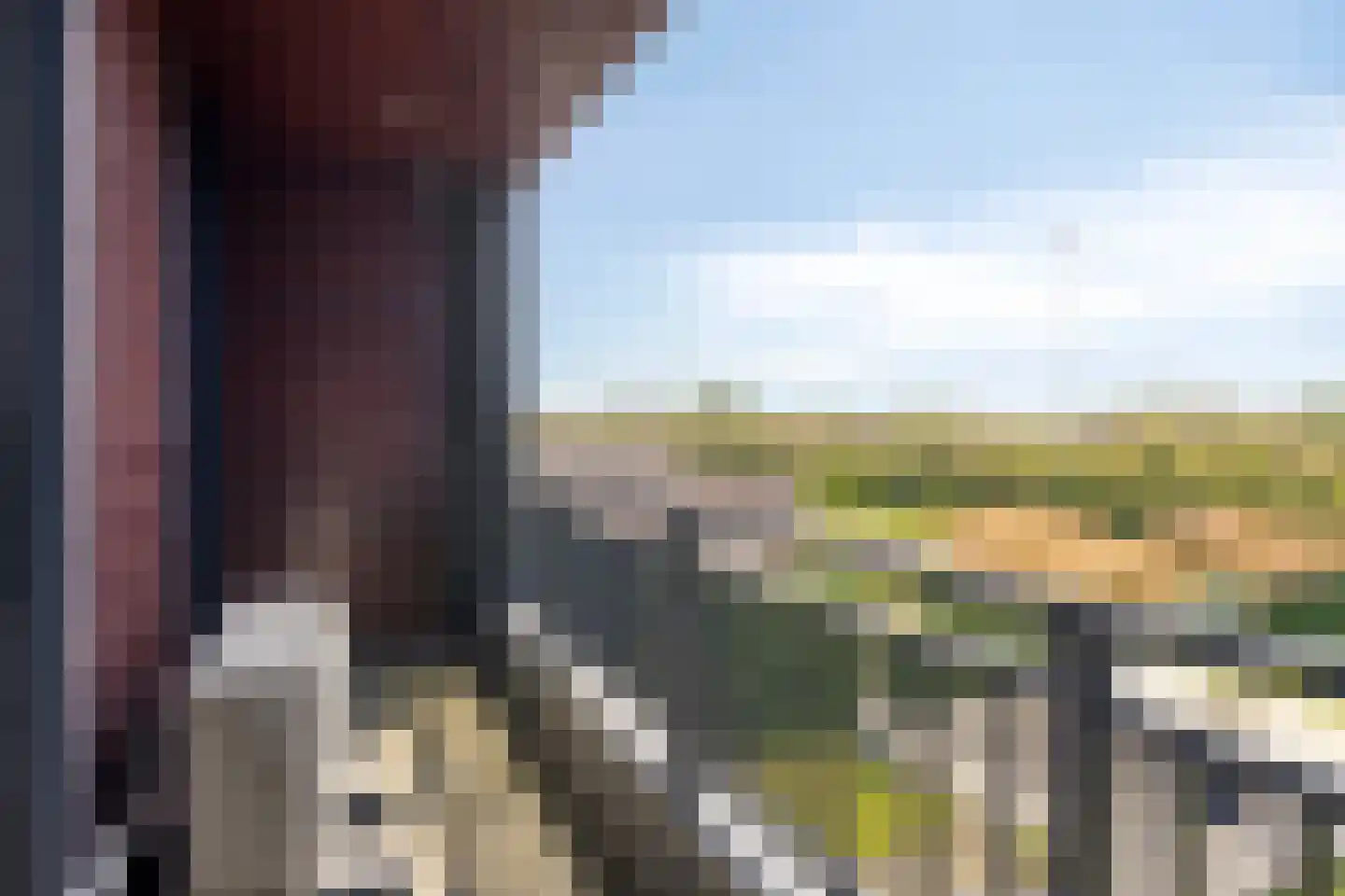 Gaaswijck 11 Poortvliet thumbnail 35