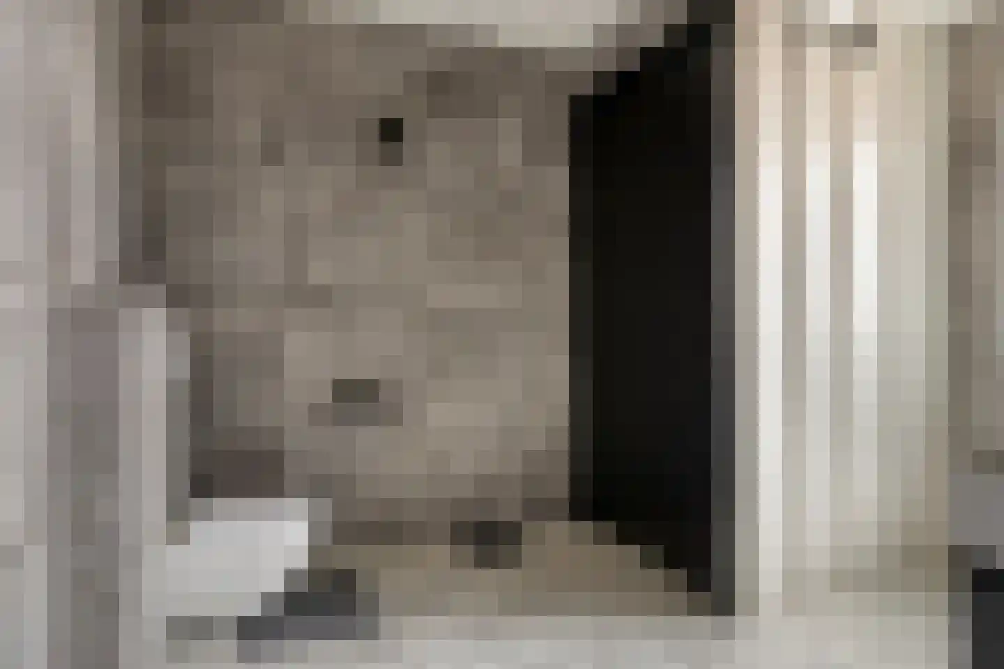 Gaaswijck 11 Poortvliet thumbnail 42
