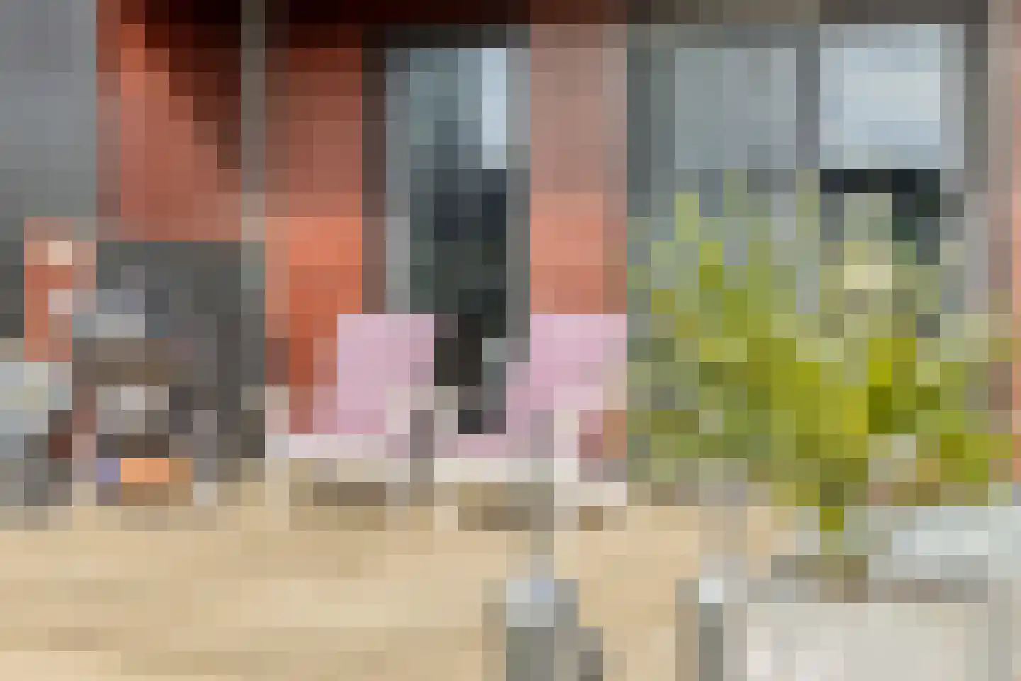 Gaaswijck 11 Poortvliet thumbnail 53