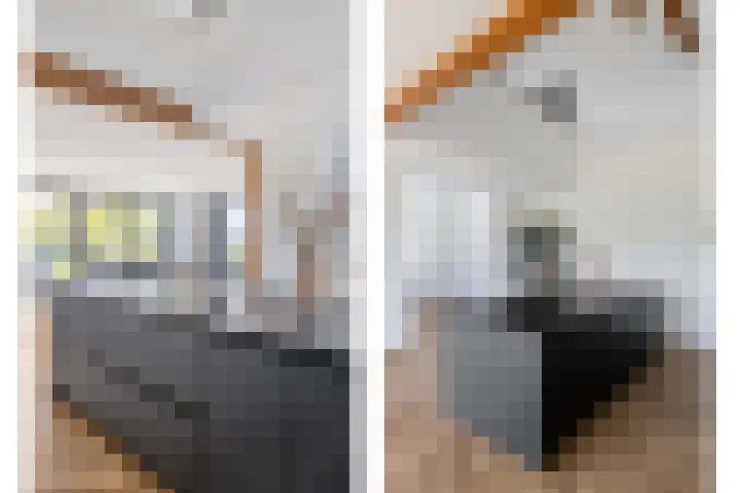 Gaaswijck 13 Poortvliet thumbnail 12